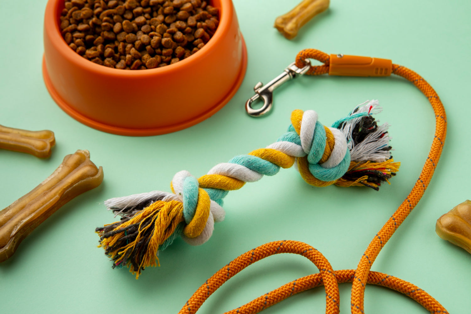 Must-Have Dog Supplies for a Happy, Healthy Home