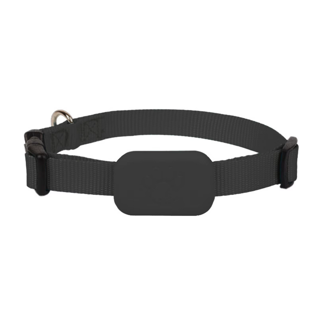 Real-Time Tracking Collar
