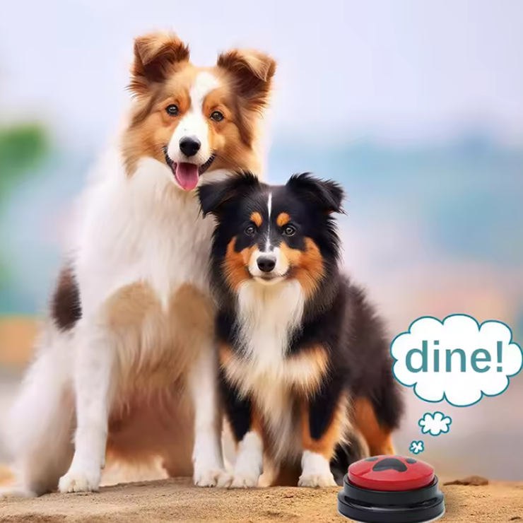 Pet Communication Button